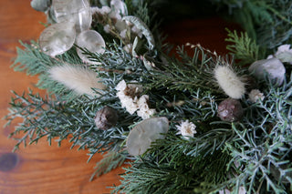 Winterkranz 'Schneeweißchen' (Bio-Pflanzen)