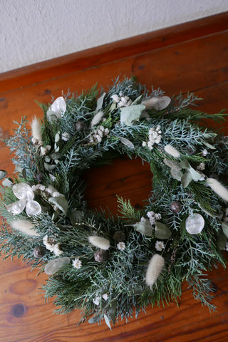 Winterkranz 'Schneeweißchen' (Bio-Pflanzen)