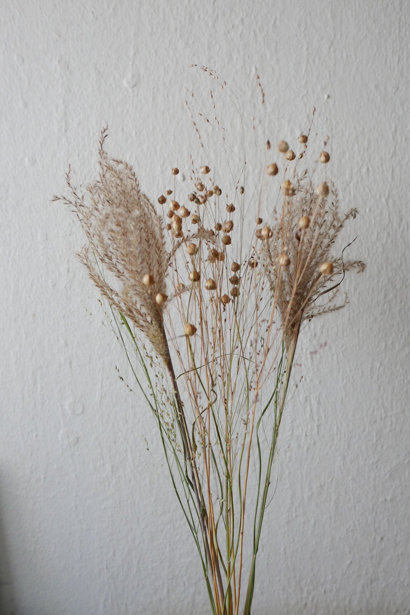 Kleiner Trockenblumenmix 'Goldgelb' (Bio)