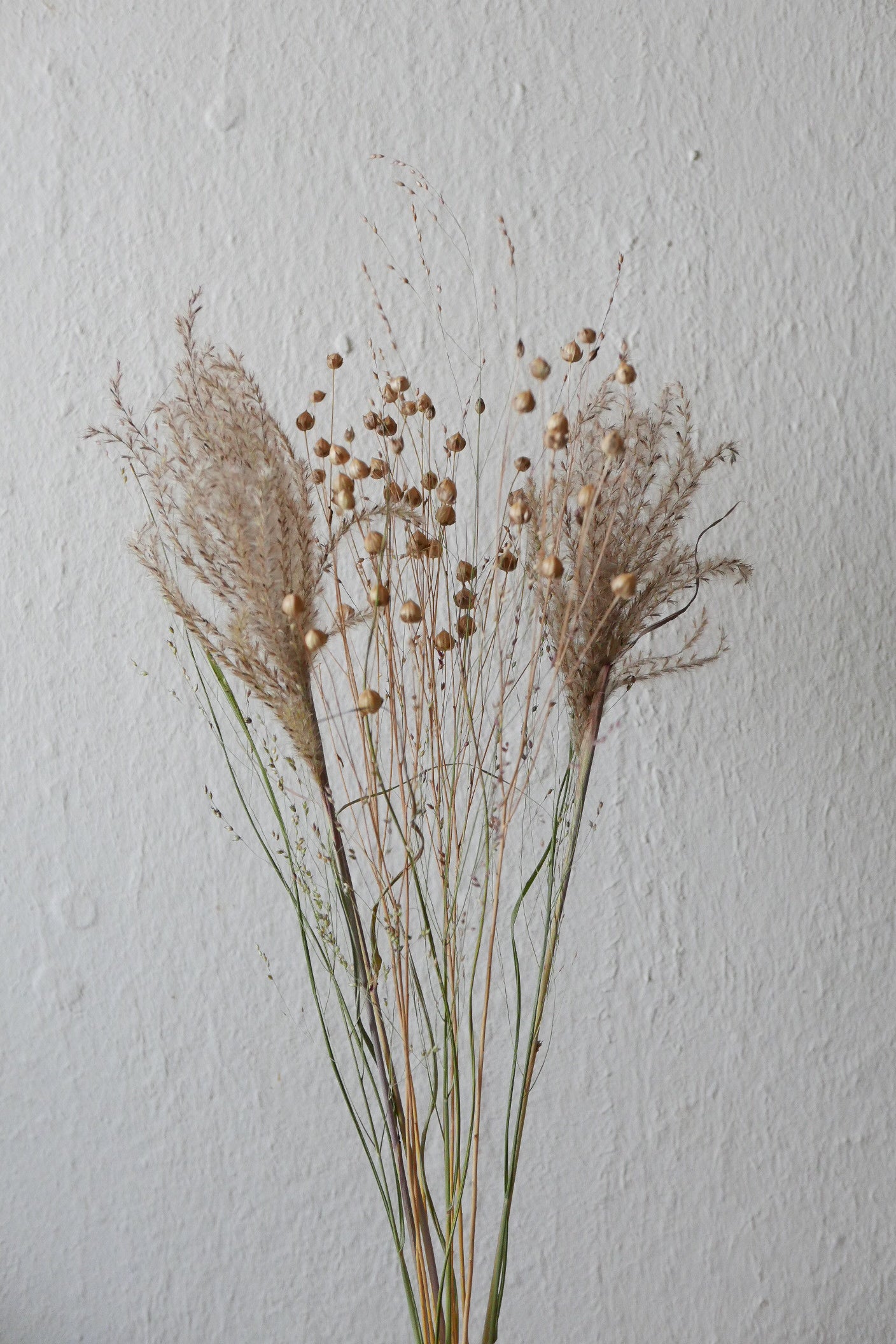 Kleiner Trockenblumenmix 'Goldgelb' (Bio)