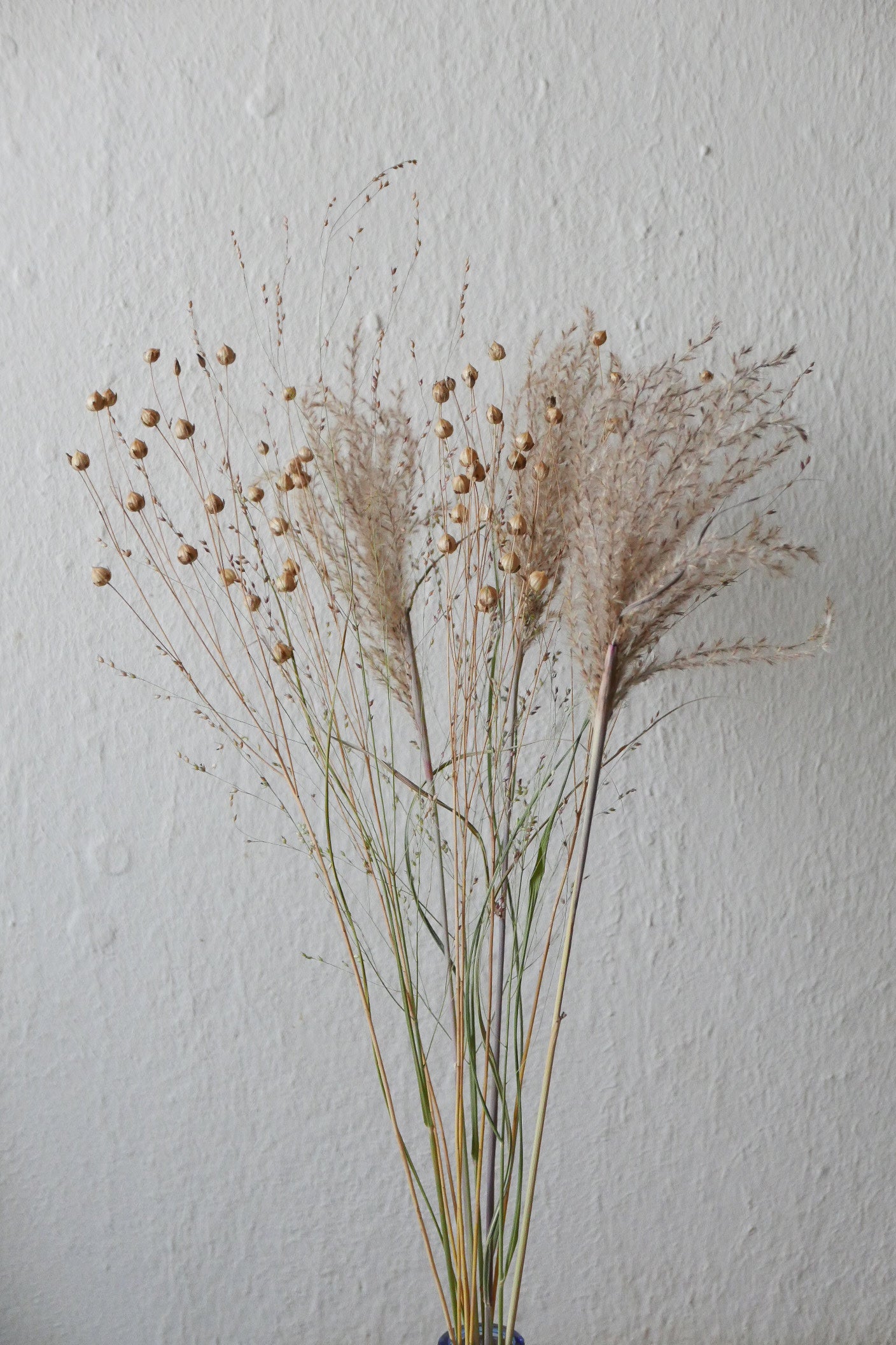 Trockenblumen aus biologischem Anbau, slowflowers, Lein, Gräser