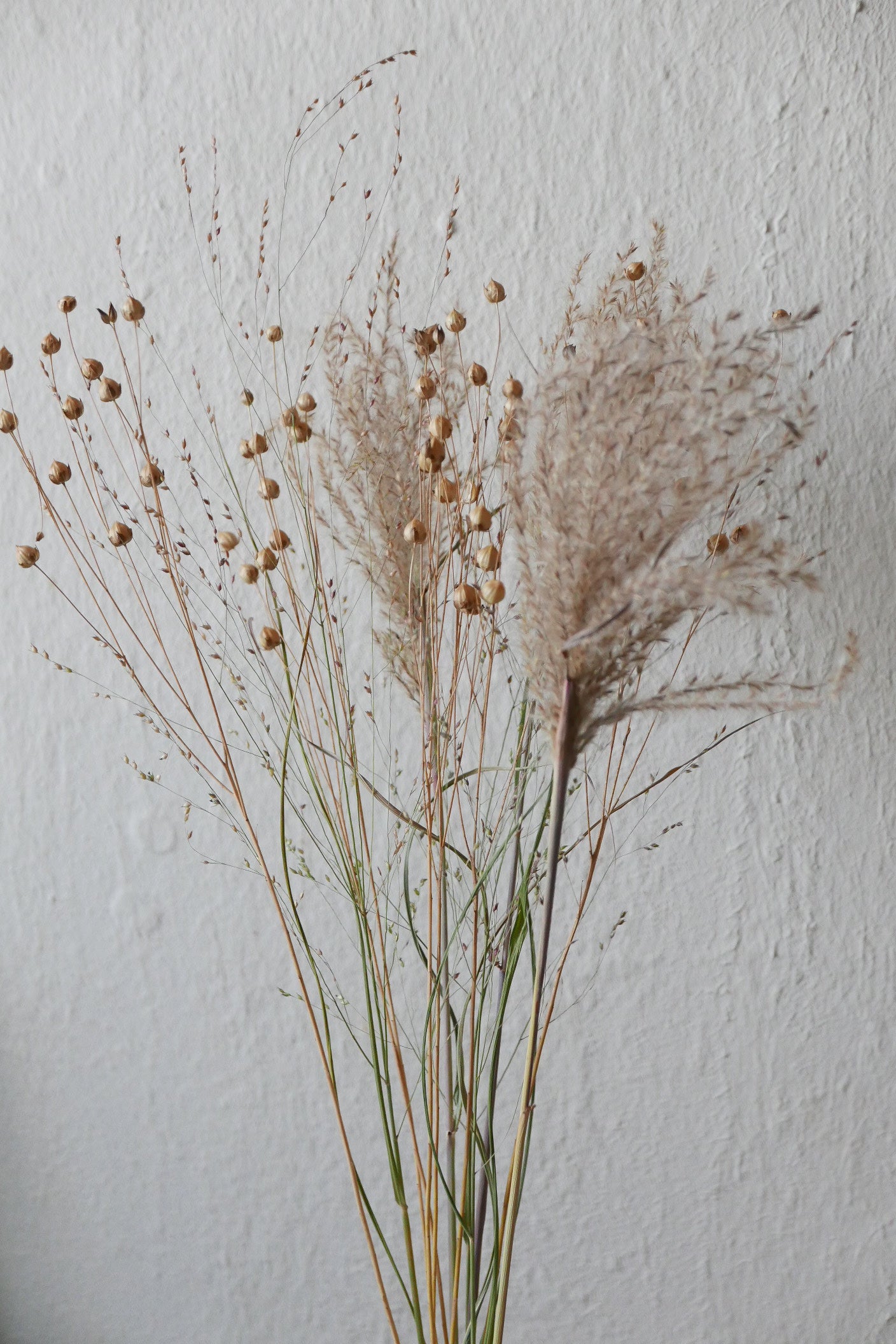 Kleiner Trockenblumenmix 'Goldgelb' (Bio)