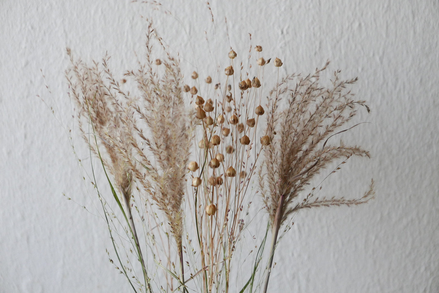 Kleiner Trockenblumenmix 'Goldgelb' (Bio)