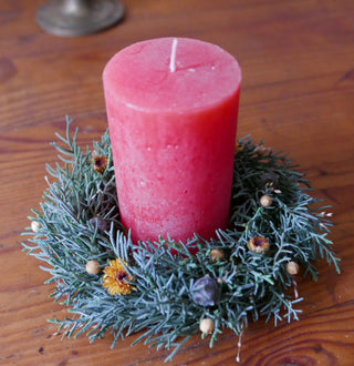 Kleiner Winterkranz (Bio-Pflanzen)