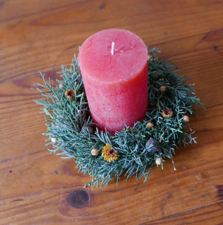 Kleiner Winterkranz (Bio-Pflanzen)