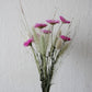 Kleiner Trockenblumenmix 'Rosensonnenflügel'