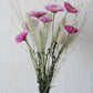Kleiner Trockenblumenmix 'Rosensonnenflügel'