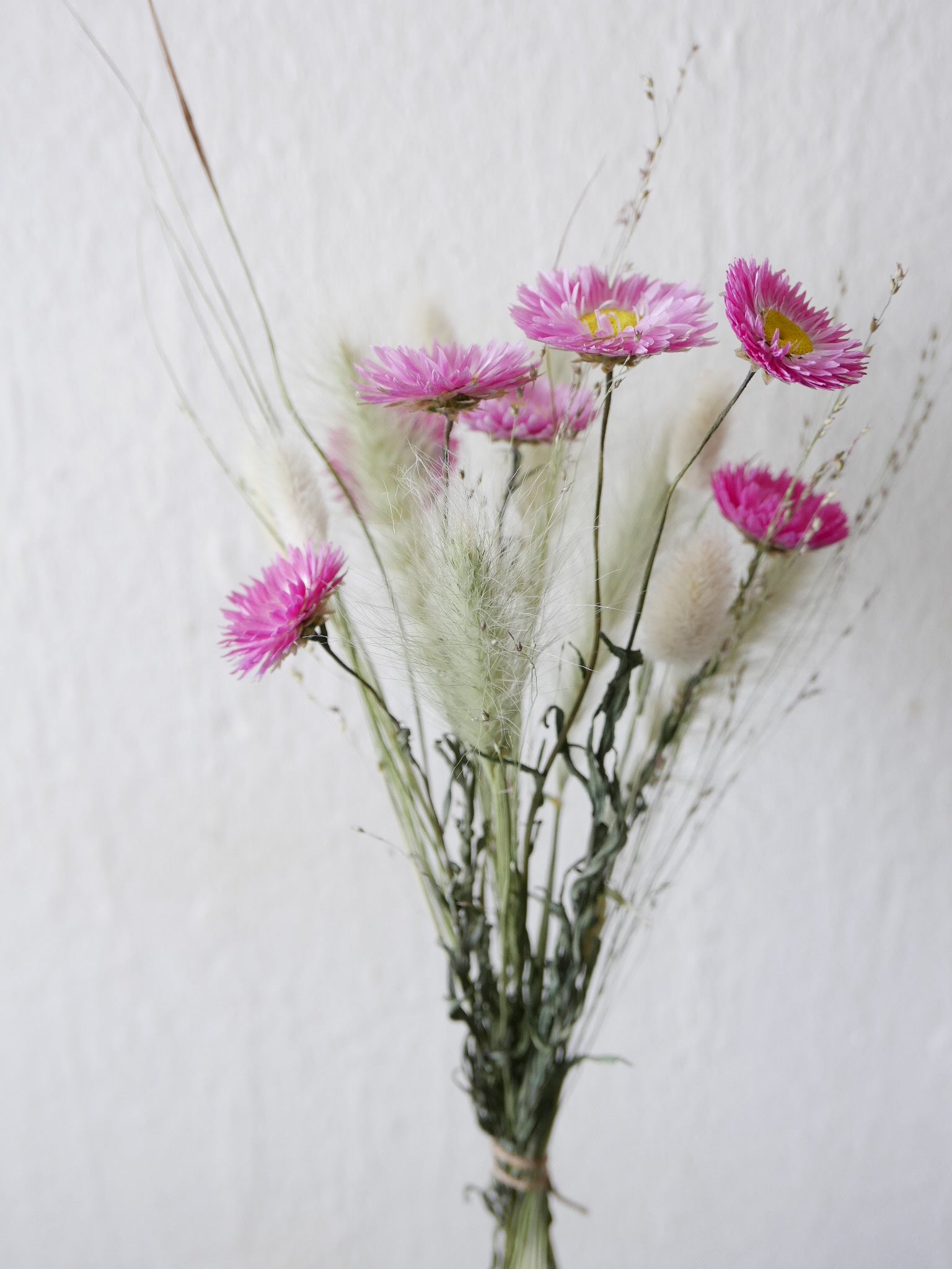 trockenblumen mix slowflowers bio helipterum gräser rosa