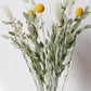 Trockenblumenmix bio slow flowers craspedia gräser herbst spätsommer strand