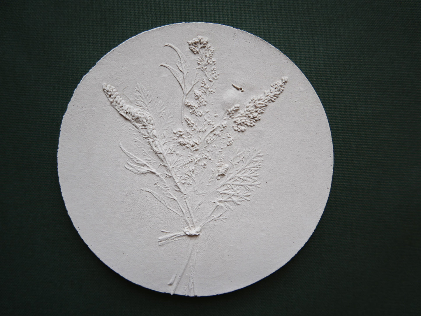Botanical bas relief 'Papaver'