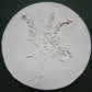 Botanical bas relief 'Solidago'