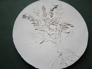 Botanical bas relief 'Solidago'