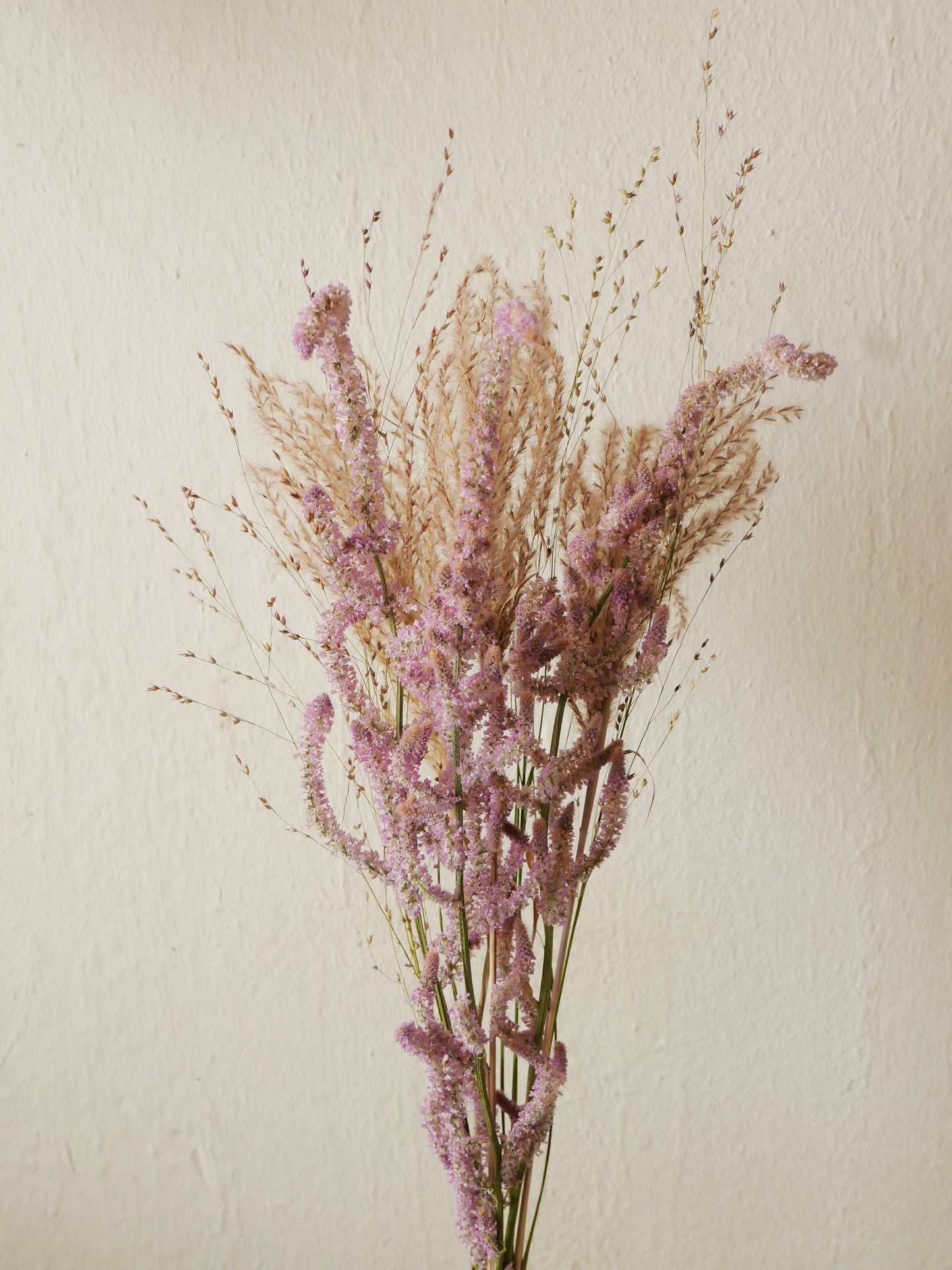 trockenblumenmix russischer meerlavendel gräser slow flowers