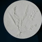Botanical bas relief 'Papaver&Solidago'