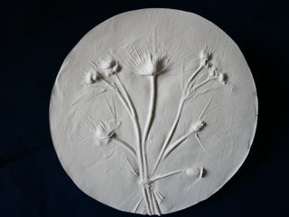 botanical bas relief gips mohn blumenkunst botanical art