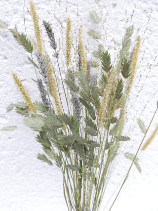 Trockenblumen 'Lavendel und Gräser'