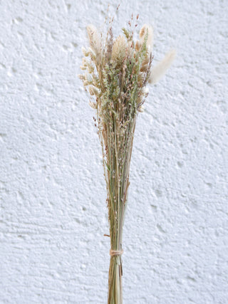 Trockenblumenmix 'Gräser'