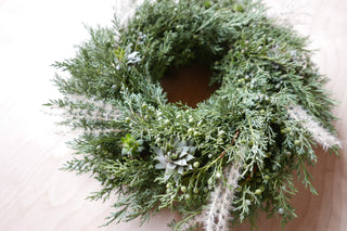 Adventskranz 'Sempervivum'