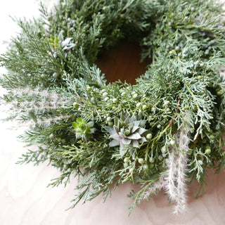 Adventskranz 'Sempervivum'