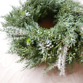 Adventskranz 'Sempervivum'