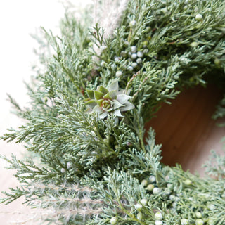 Adventskranz 'Sempervivum'