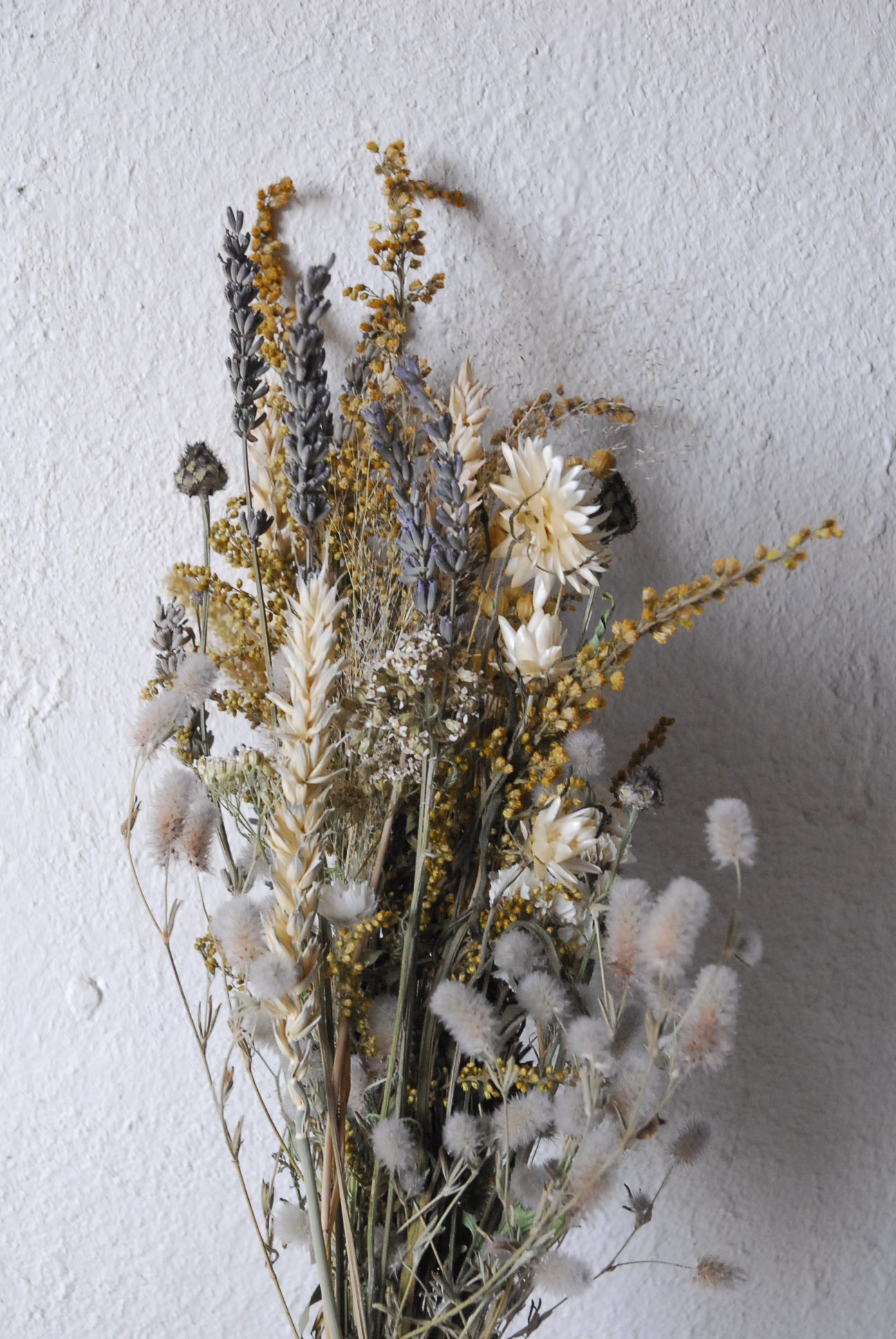 Trockenblumenmix Goldrute (naturfreundlicher Anbau)