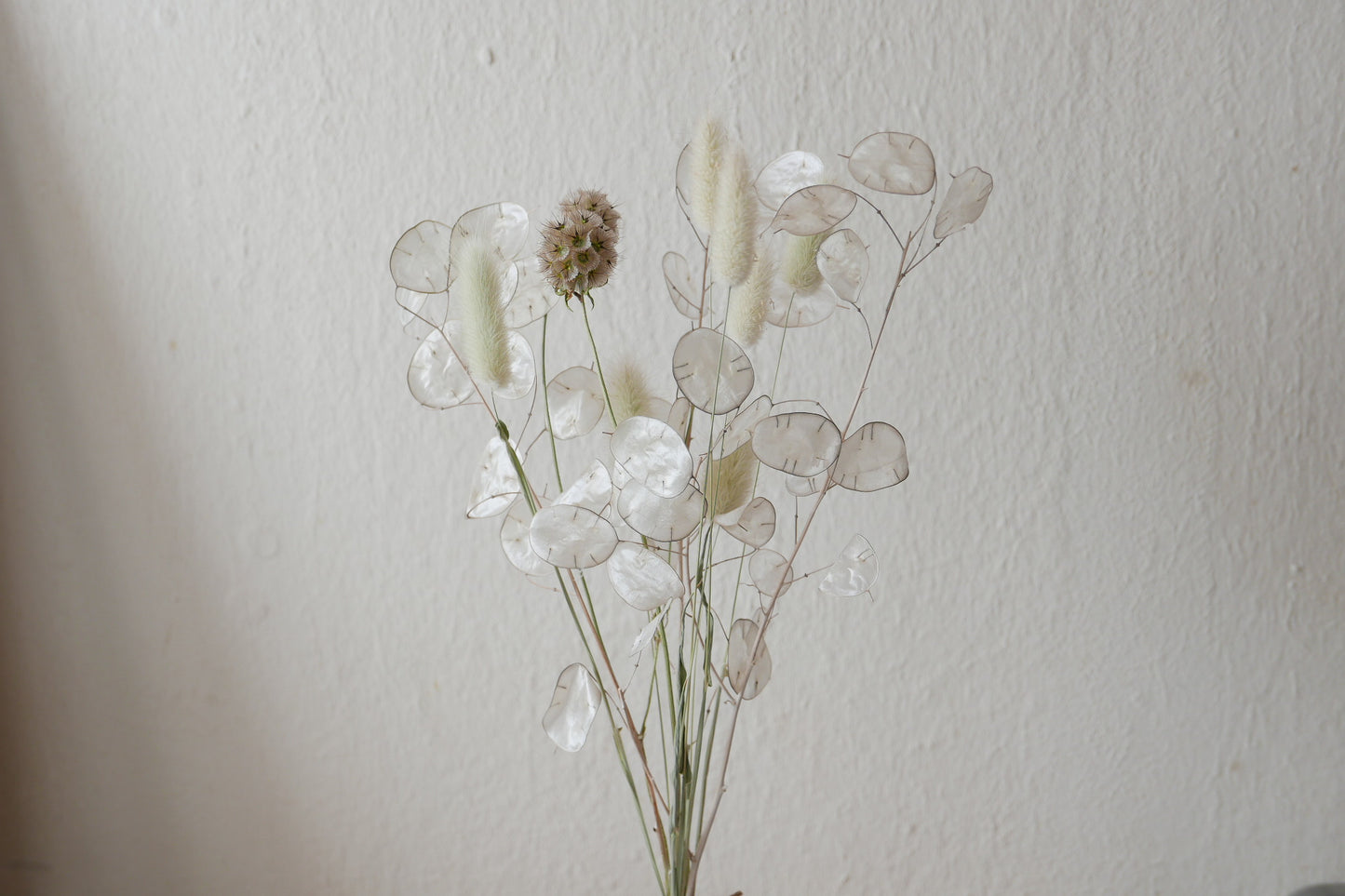 Kleiner Trockenblumenmix 'Lunaria' (Bio)