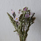 Kleines Trockenblumenensemble (bio)
