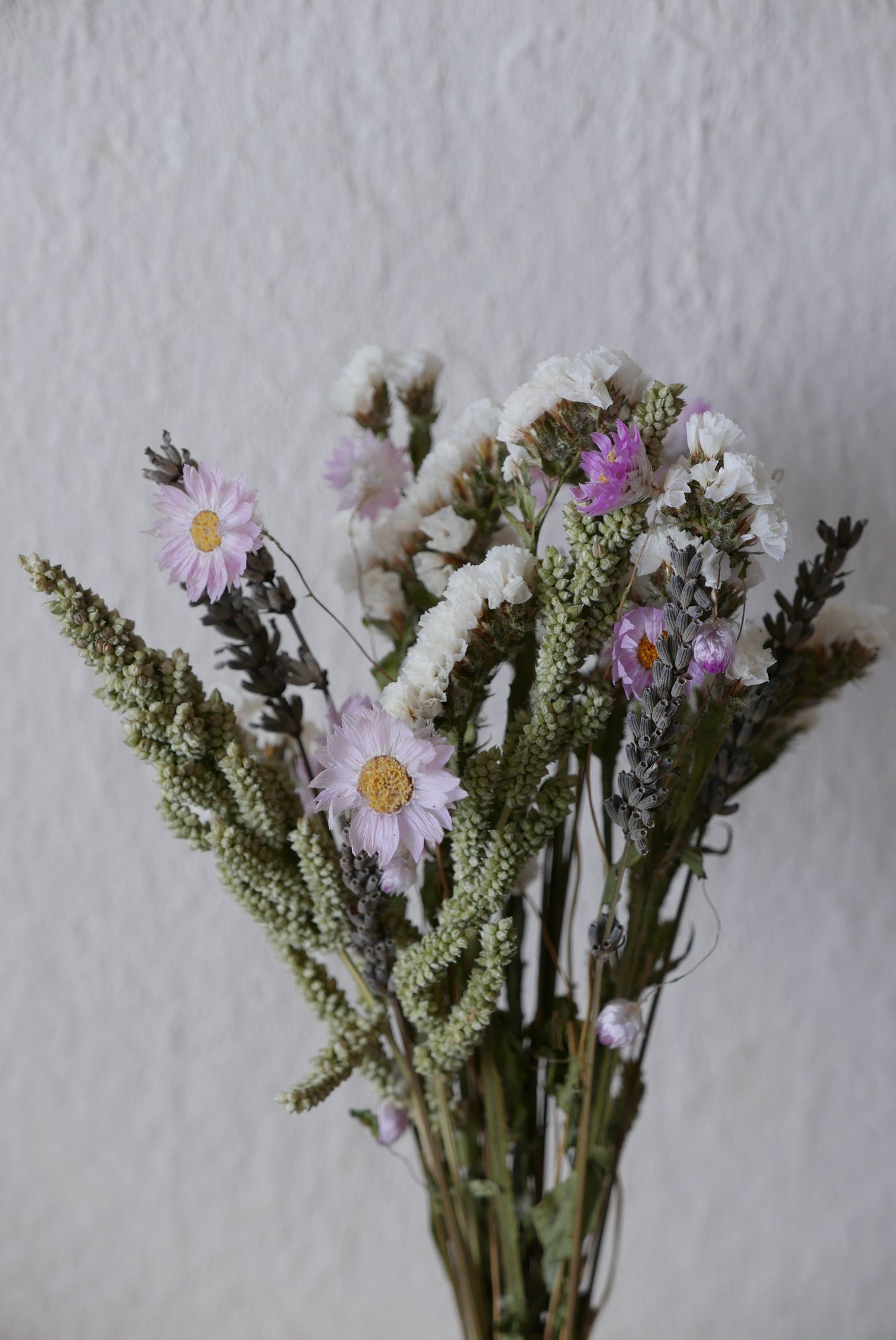 Trockenblumen bio slow flowers leipzig lavendel