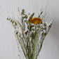 Trockenblumen bio Leipzig slowflowers Schafgarbe gelb