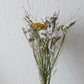 Trockenblumenmix 'Achillea' (bio)