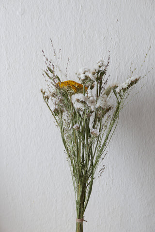 Trockenblumenmix 'Achillea' (bio)