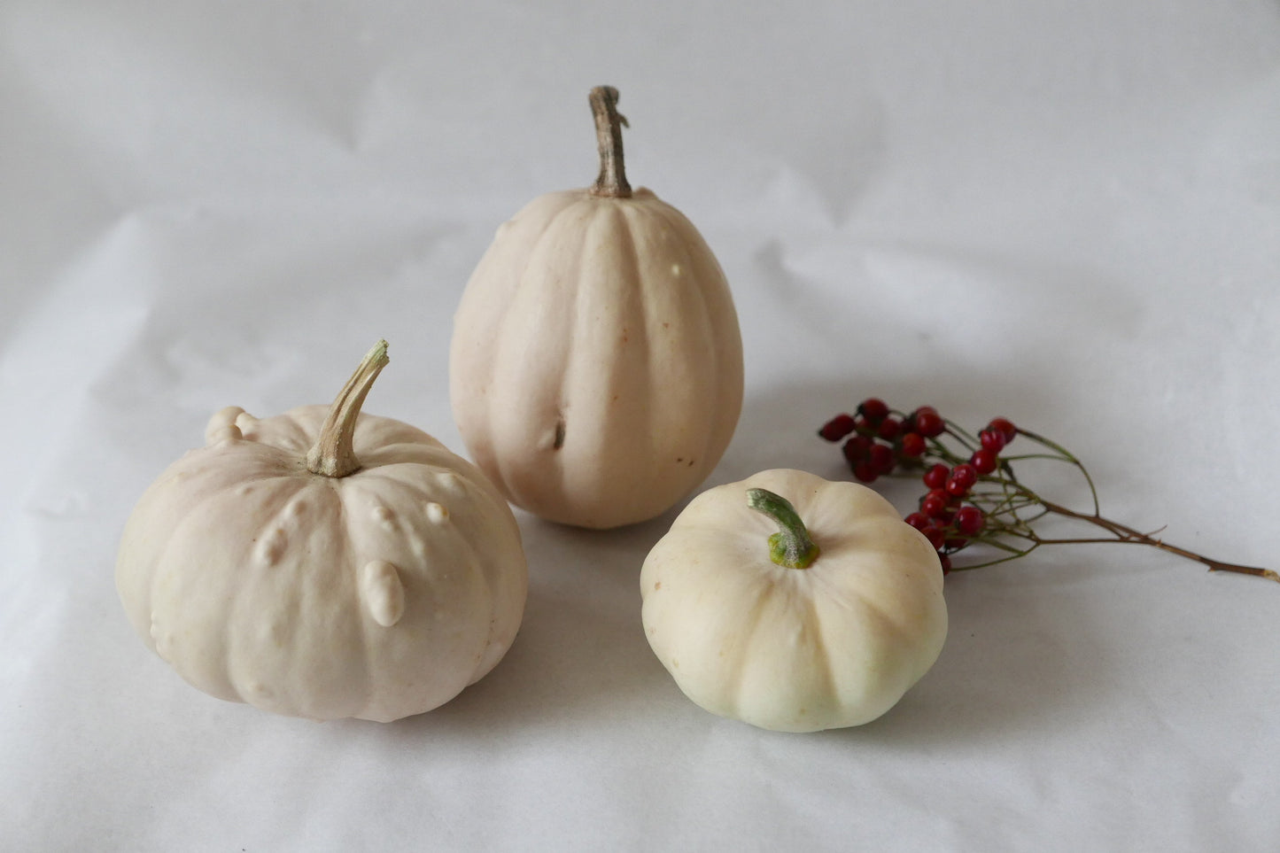 3 white, small ornamental pumpkins