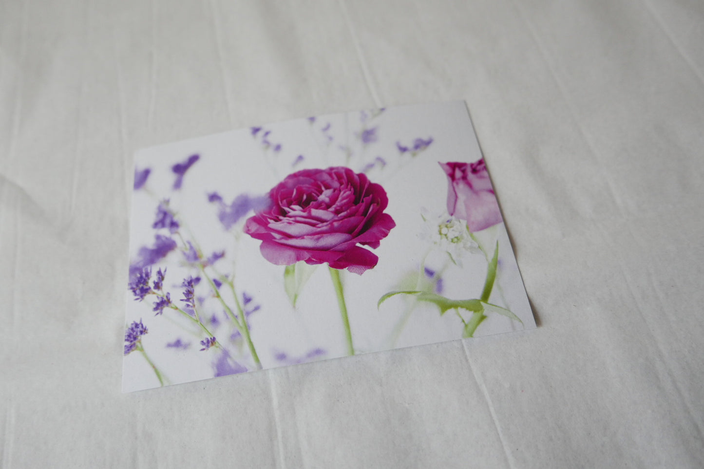 Postkarte 'Rose'