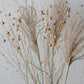 Kleiner Trockenblumenmix 'Goldgelb' (Bio)