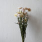 Strohblumen, zartes Rosa & Gelb
