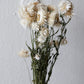 getrocknete strohblumen weiß crème bio slowflowers leipzig bund