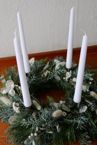 Adventskranz 'Schneeweißchen' (Bio-Pflanzen)