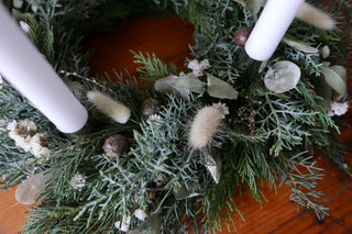 Adventskranz 'Schneeweißchen' (Bio-Pflanzen)